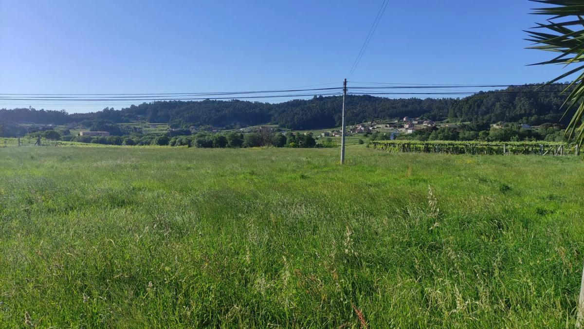 Działka na sprzedaż w Meis, Pontevedra photo 1