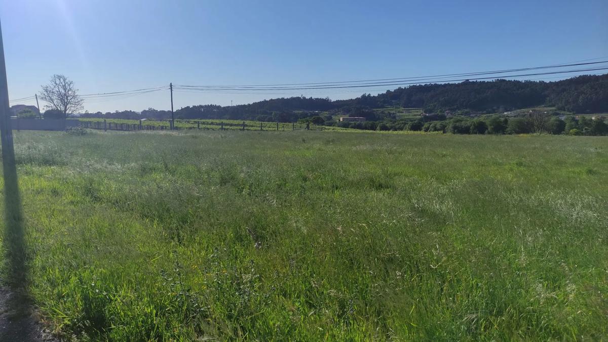 Działka na sprzedaż w Meis, Pontevedra photo 3
