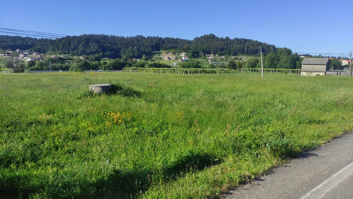 Działka na sprzedaż w Meis, Pontevedra photo 4
