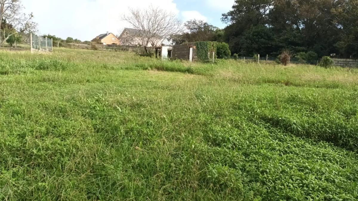 Propiedades en venta y alquiler en España photo 2