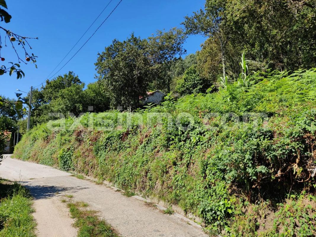 Land for sale in Sanxenxo, Pontevedra photo 3