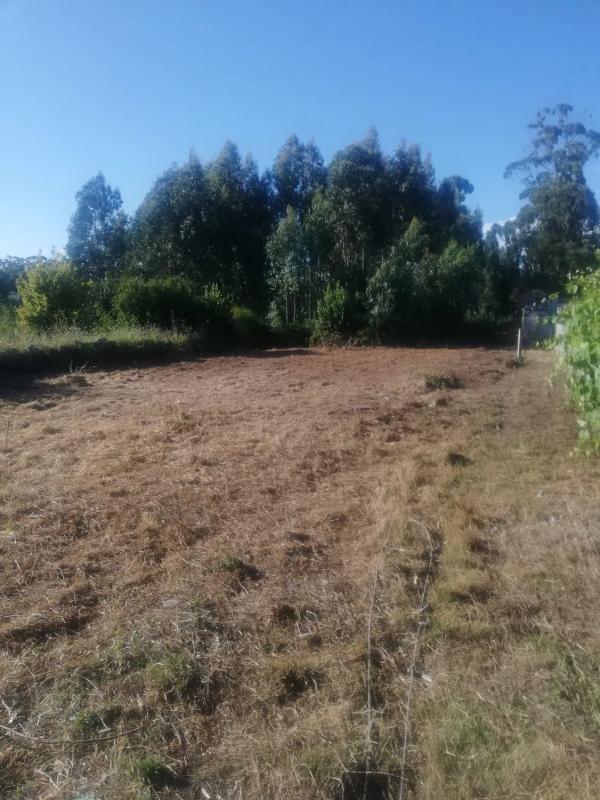 Terreno en venta en Sanxenxo, Pontevedra photo 2