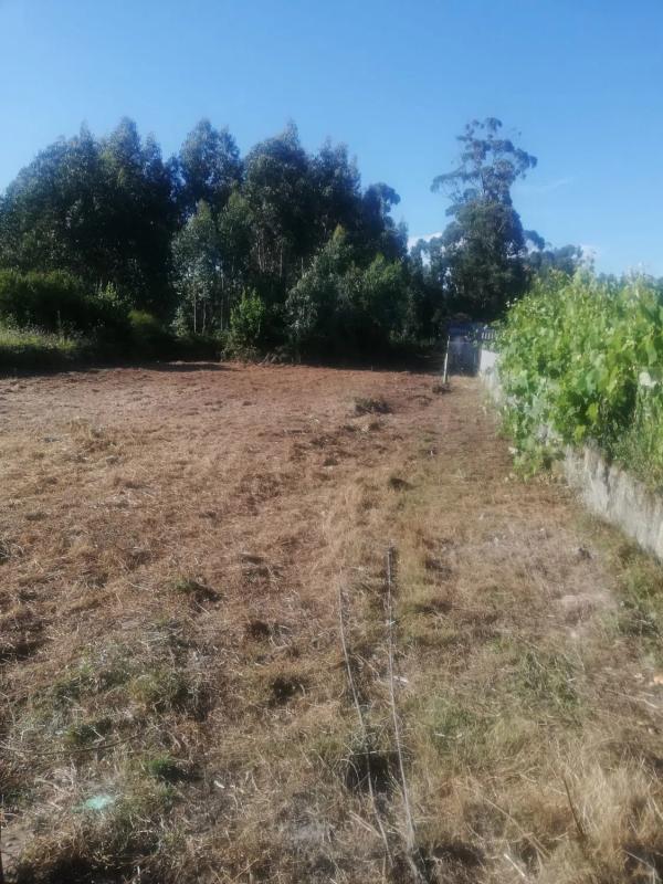 Terreno en venta en Sanxenxo, Pontevedra photo 3