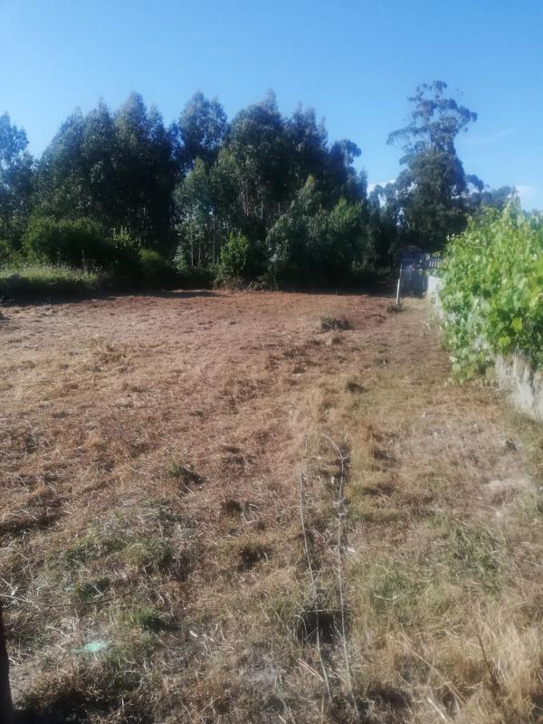 Terreno en venta en Sanxenxo, Pontevedra photo 4