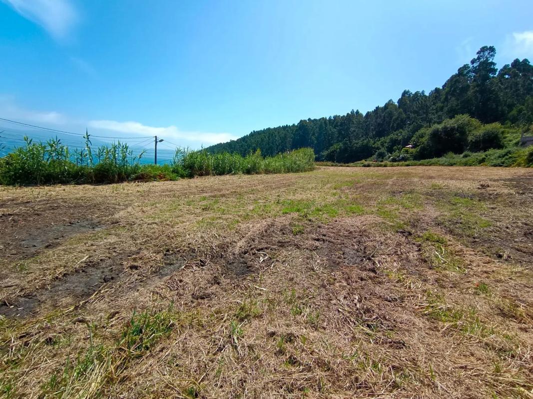 Terreno en venta en Sanxenxo, Pontevedra photo 5