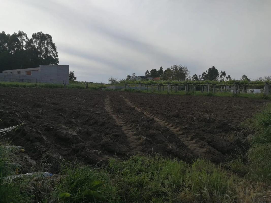 Terreno en venta en Ribadumia, Pontevedra photo 3