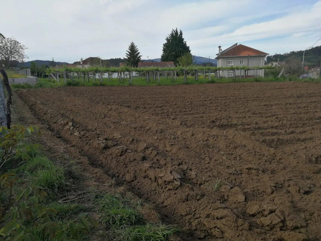 Terreno en venta en Ribadumia, Pontevedra photo 4