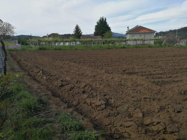 Terreno en calle Seara, 10 photo 4