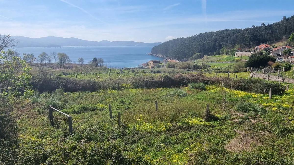 Land for sale in Sanxenxo, Pontevedra photo 2
