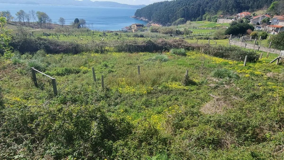 Land for sale in Sanxenxo, Pontevedra photo 3