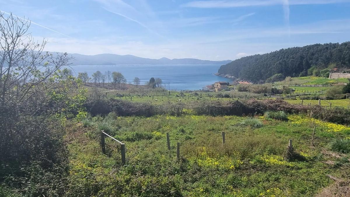 Land for sale in Sanxenxo, Pontevedra photo 4