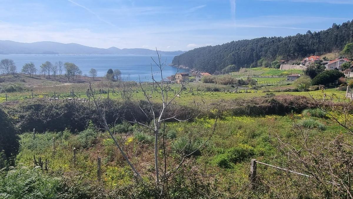 Land for sale in Sanxenxo, Pontevedra photo 5
