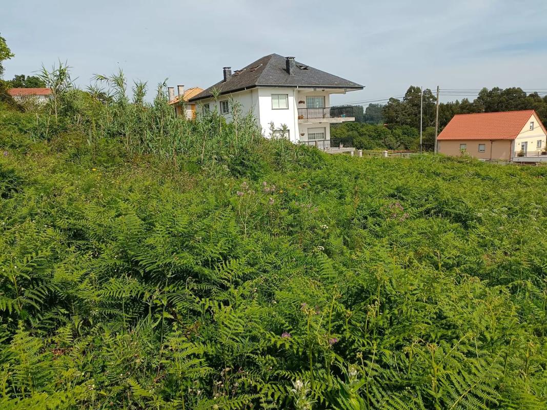 Terreno en venta en Sanxenxo, Pontevedra photo 5