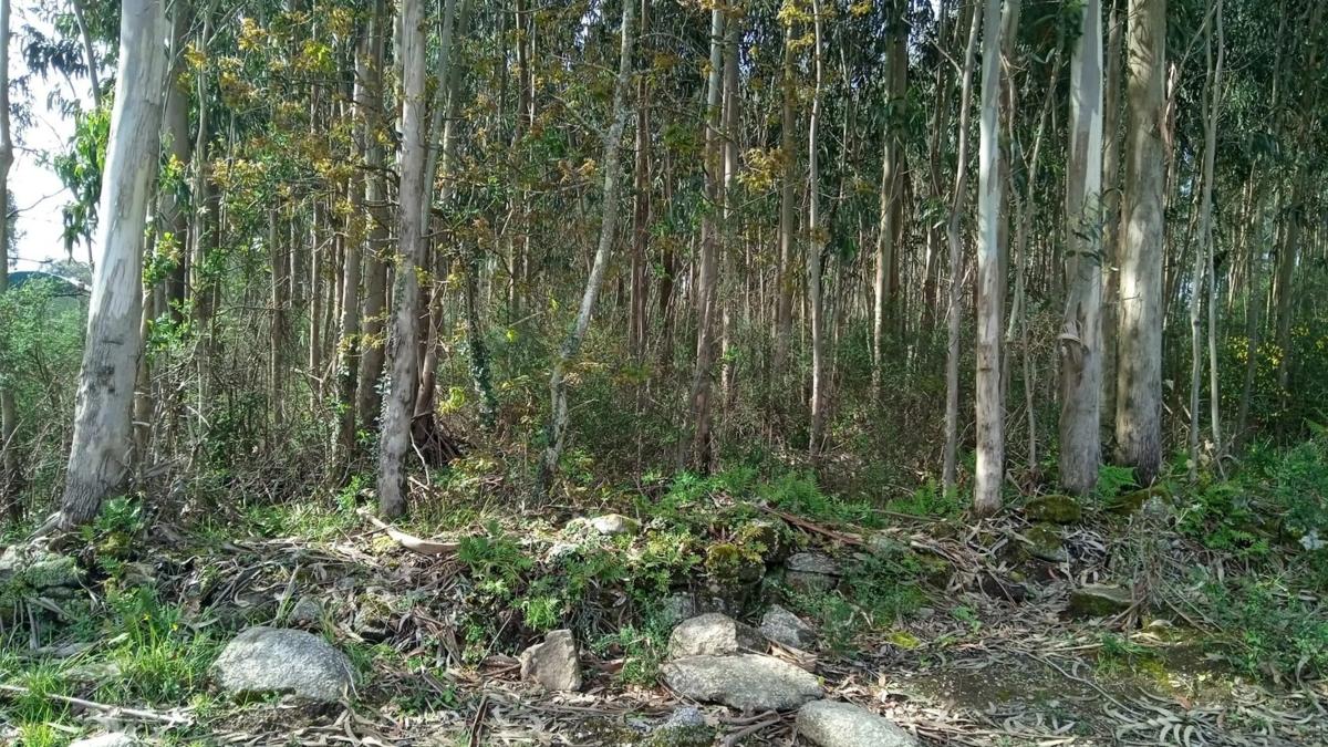 Участок земли на продажу в Вилановa-де-Аруса, Пontevedra photo 1