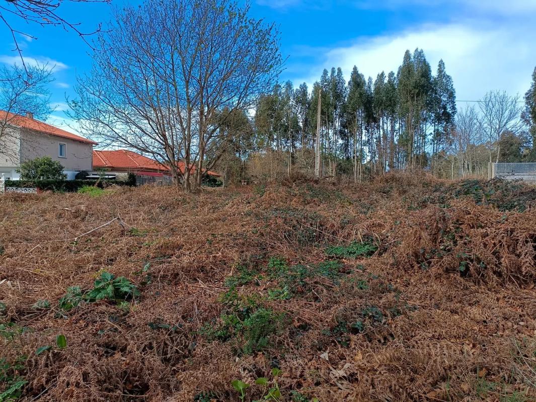 Terreno en venta en Sanxenxo, Pontevedra photo 3