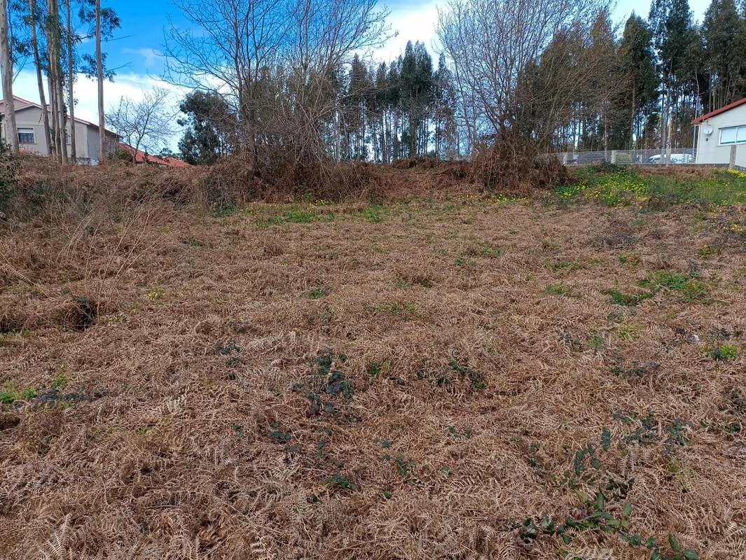 Terreno en venta en Sanxenxo, Pontevedra photo 4