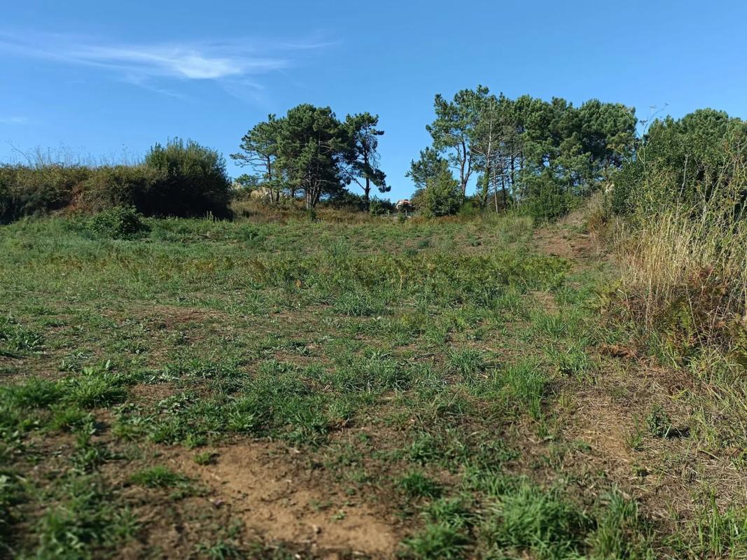 Terreno en venta en Sanxenxo, Pontevedra photo 3