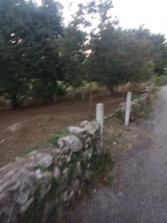 Terreno en camino Vello de Ardia, 79 parcela thumbnail 1