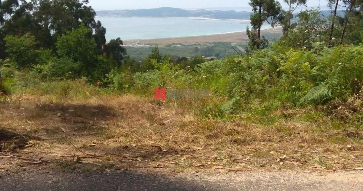 Terreno en venta en Sanxenxo, Pontevedra photo 4