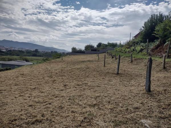 Terreno en o Rivero s/n photo 1
