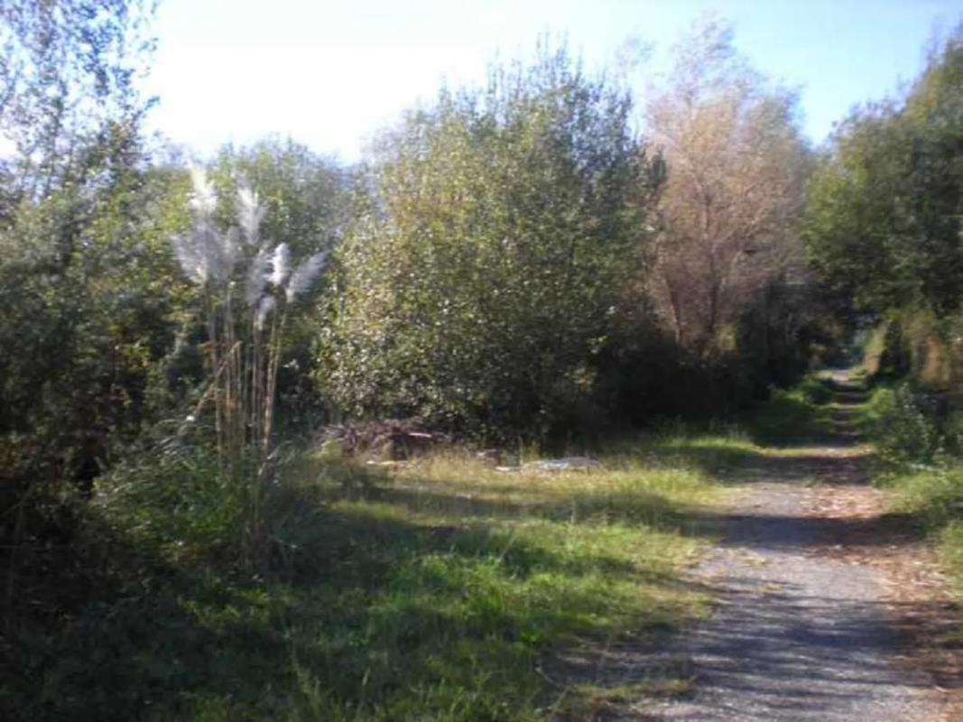 Terreno en venta en Sanxenxo, Pontevedra photo 2