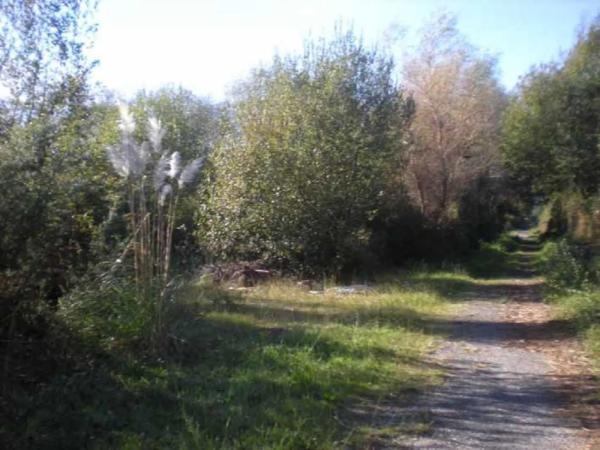 Terreno en calle Tombelo photo 2
