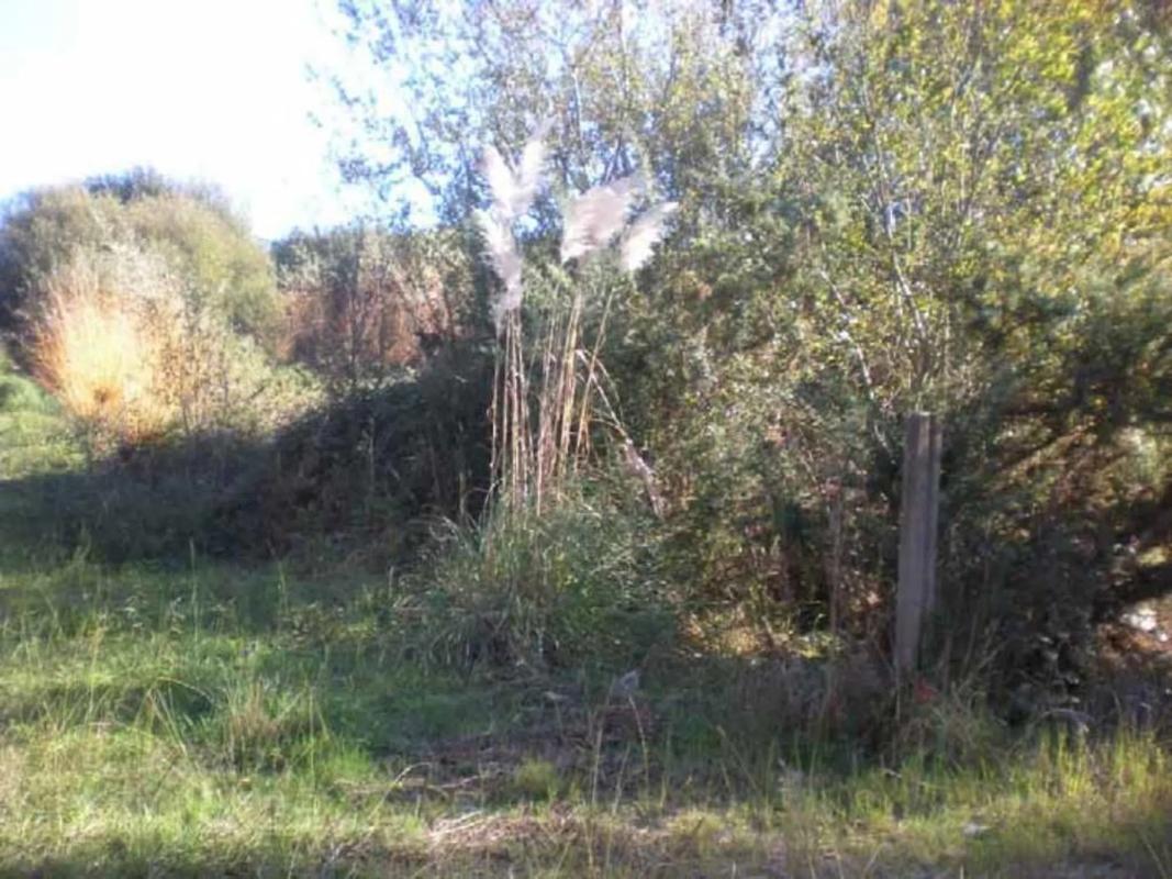 Terreno en venta en Sanxenxo, Pontevedra photo 4