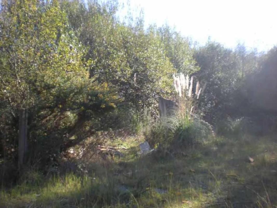 Terreno en venta en Sanxenxo, Pontevedra photo 5