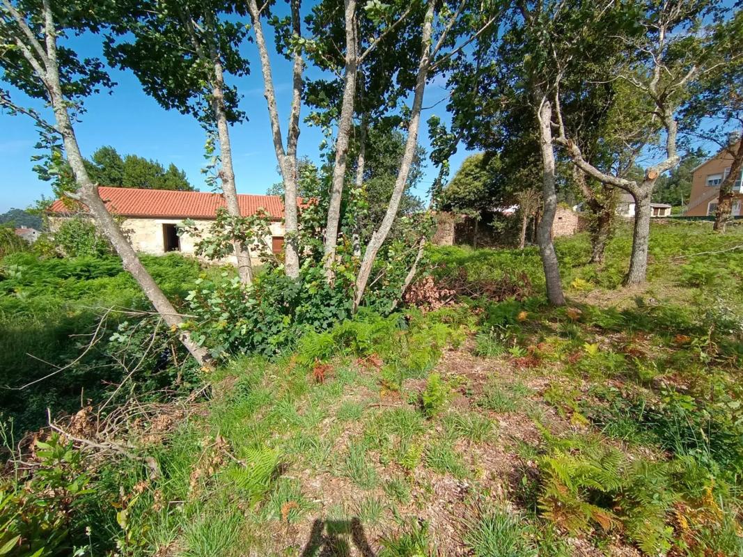 Terreno en venta en Sanxenxo, Pontevedra photo 2