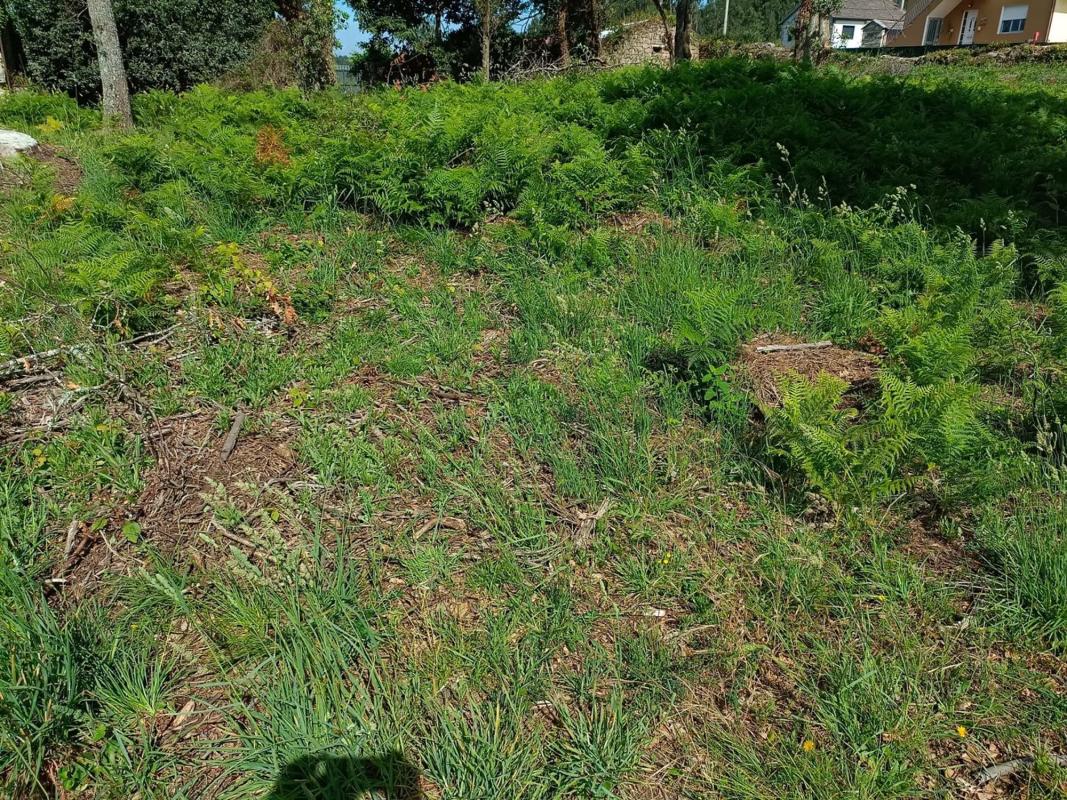 Terreno en venta en Sanxenxo, Pontevedra photo 5