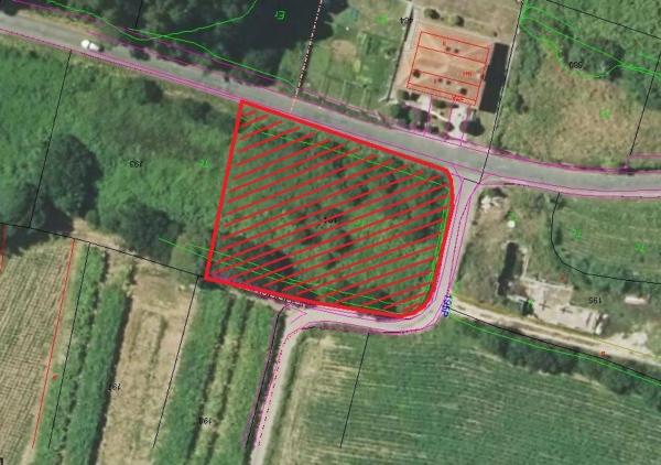 Terreno en a lomba, km 1 photo 3