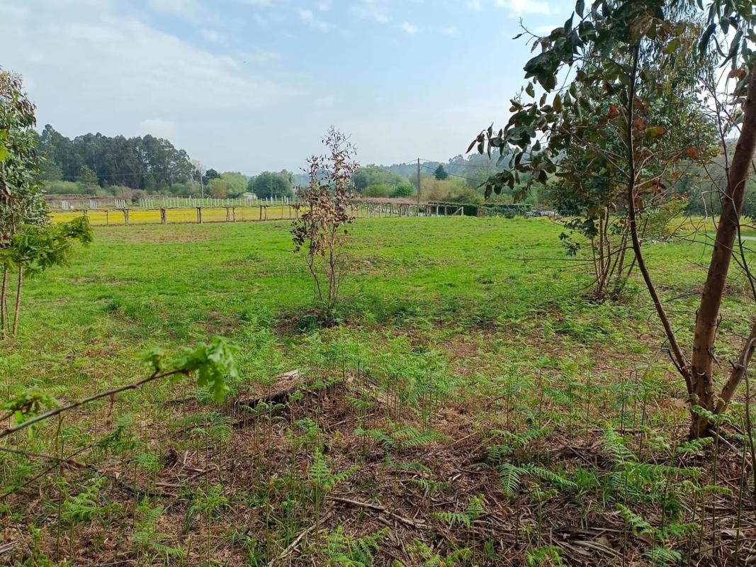 Terreno en venta en Ribadumia, Pontevedra photo 3