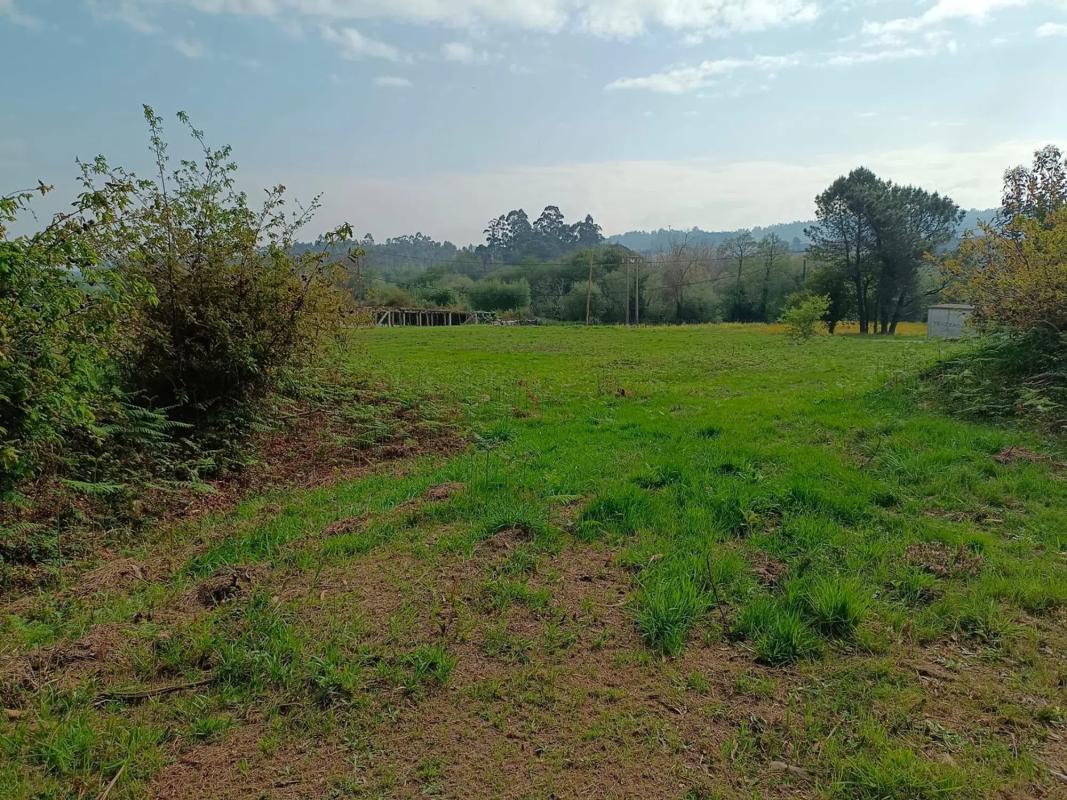 Terreno en venta en Ribadumia, Pontevedra photo 4