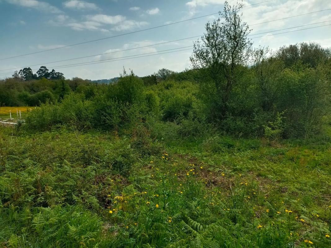Terreno en venta en Ribadumia, Pontevedra photo 5