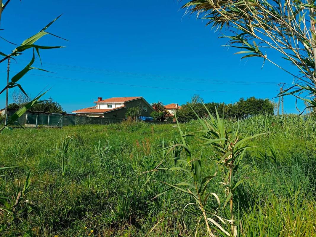 Terreno en venta en Sanxenxo, Pontevedra photo 5