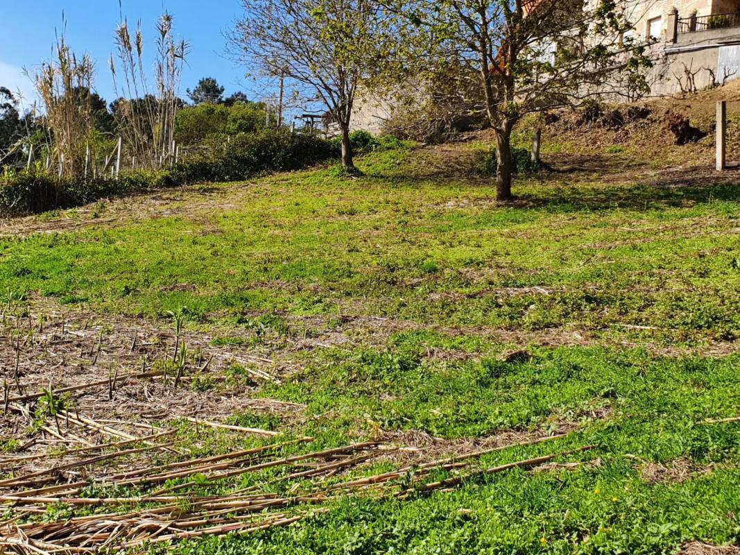 Land for sale in Sanxenxo, Pontevedra photo 2