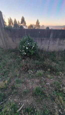 Terreno en Lugar Cova de Pazos photo 1