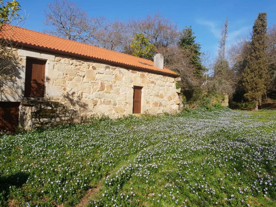 Land for sale in Sanxenxo, Pontevedra photo 4