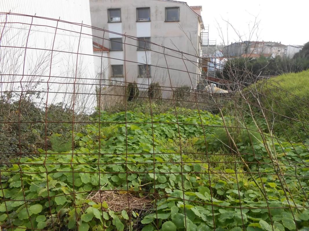 Terreno en venta en O Grove, Pontevedra photo 5