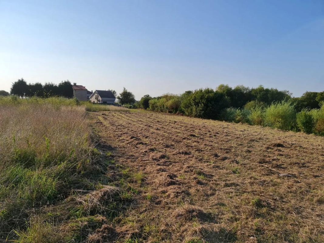 Land for sale in Sanxenxo, Pontevedra photo 2