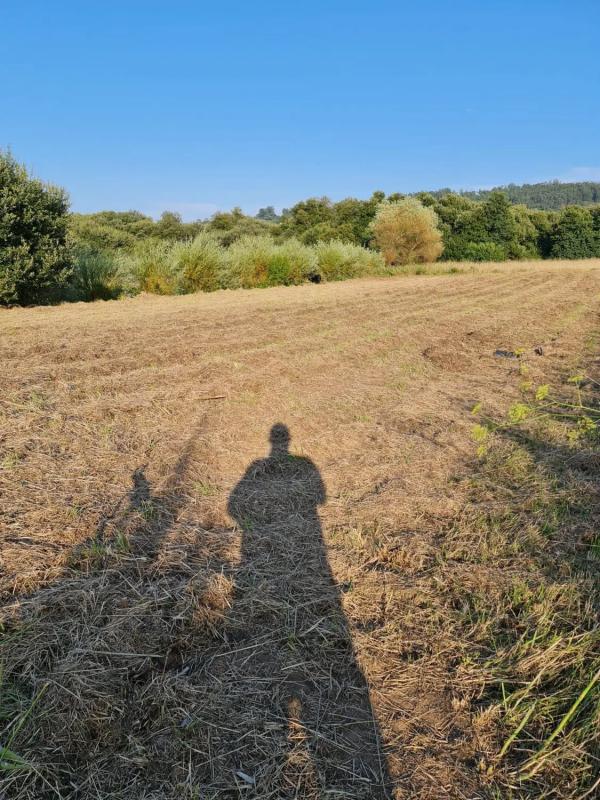 Land for sale in Sanxenxo, Pontevedra photo 4