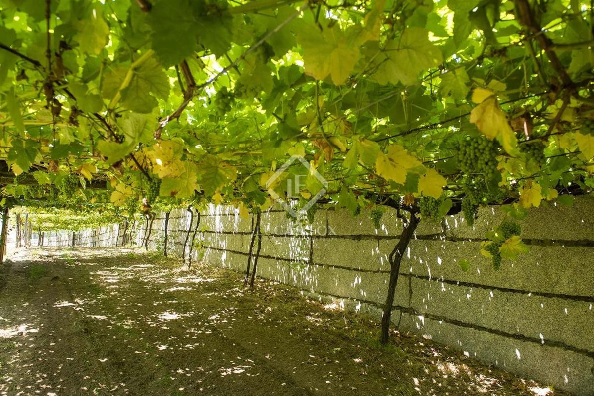 Działka na sprzedaż w Meis, Pontevedra photo 3