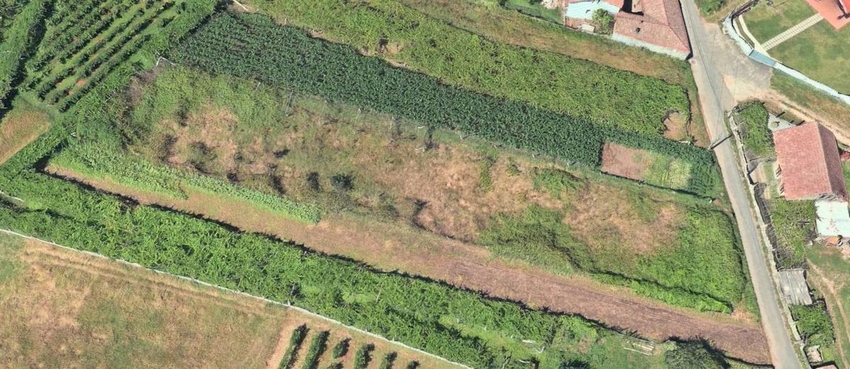 Terreno en venta en Sanxenxo, Pontevedra photo 5