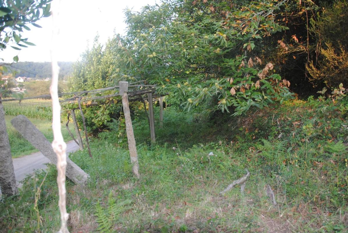 Land for sale in Meaño, Pontevedra photo 2