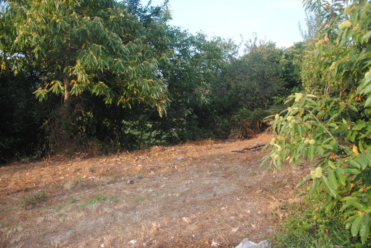 Land for sale in Meaño, Pontevedra photo 4