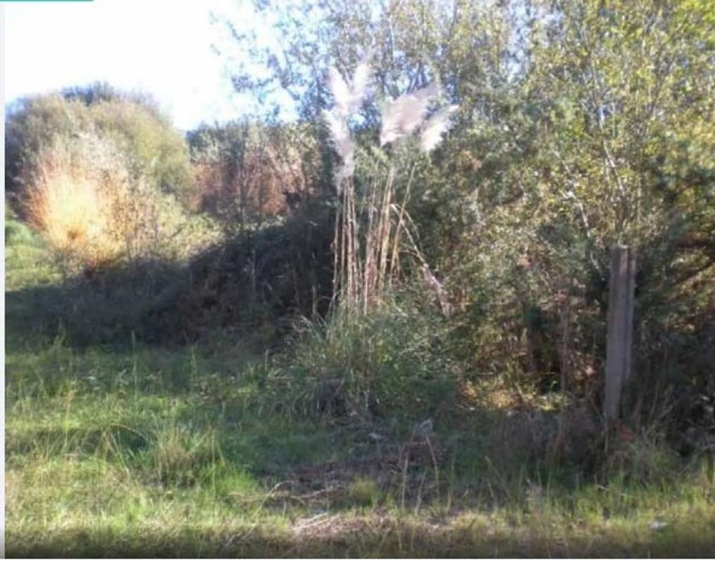 Terreno en venta en Sanxenxo, Pontevedra photo 2