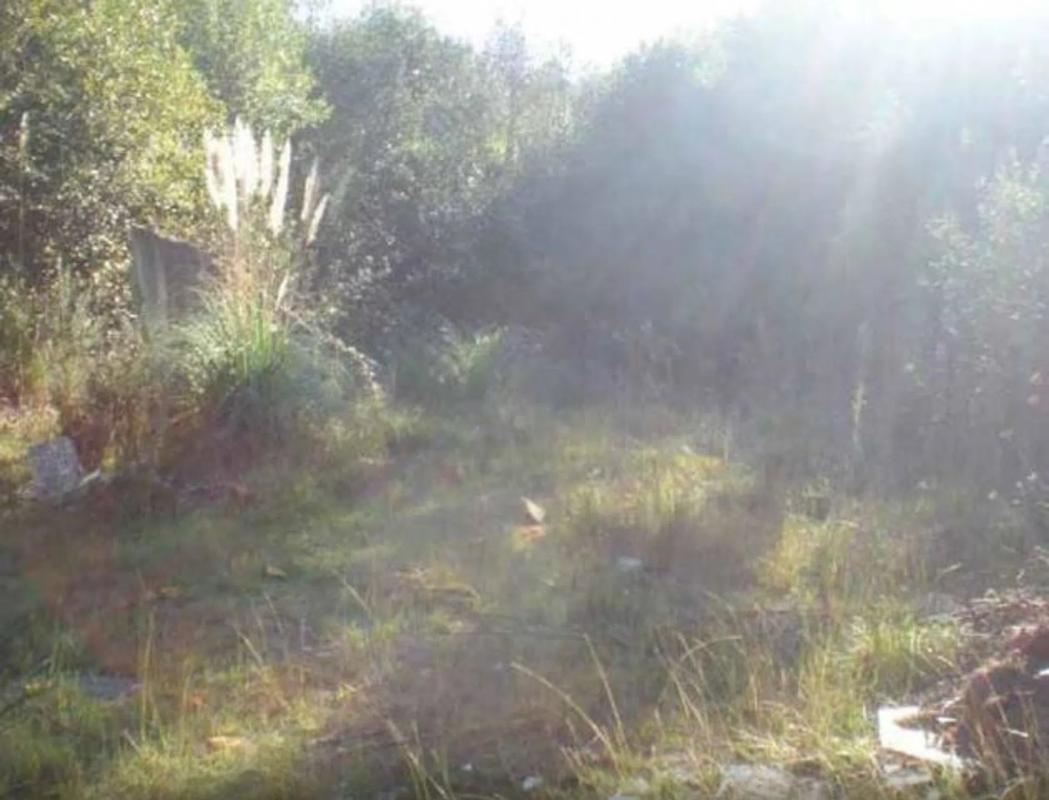 Terreno en venta en Sanxenxo, Pontevedra photo 4