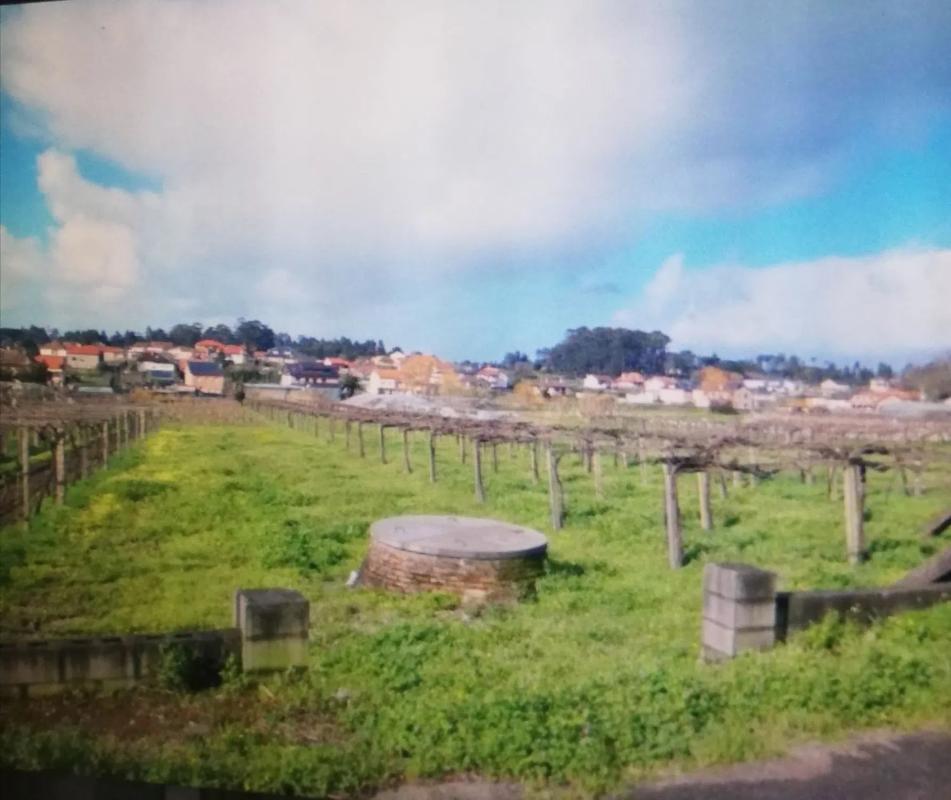 Land for sale in Vilanova de Arousa, Pontevedra photo 5