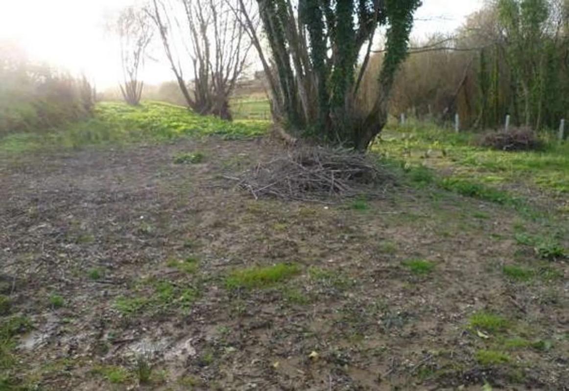 Terreno en venta en Sanxenxo, Pontevedra photo 1
