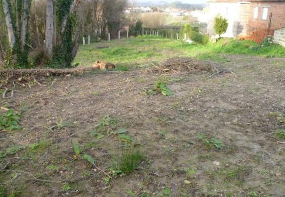 Terreno en venta en Sanxenxo, Pontevedra photo 2